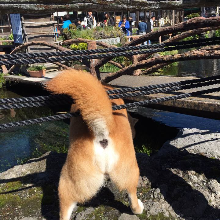 043382df 8599 4f6c a9cc d189cb0054ee