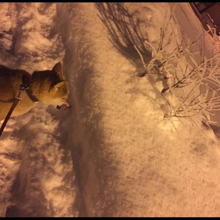 0433f8b7 e4a0 441b ad64 7ef122c67981