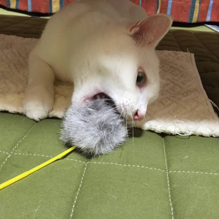 04345722 704e 4ebf aa02 0f0dd89ccd79