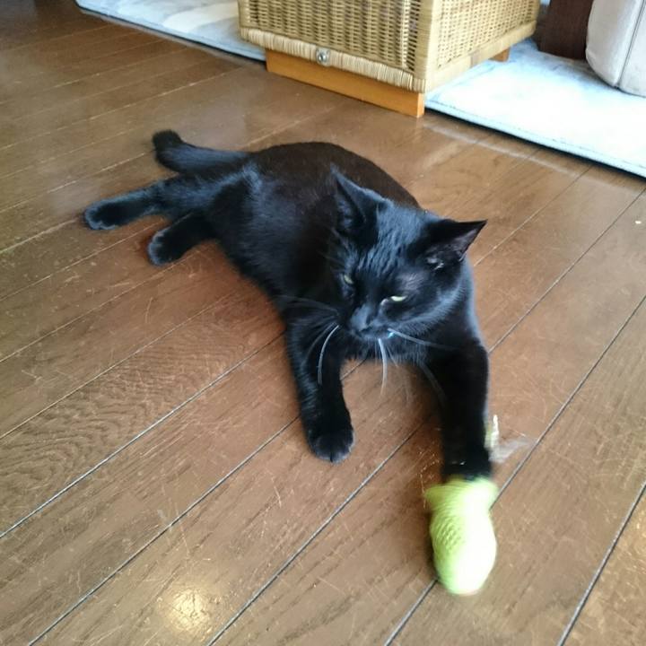 04347ae3 a91b 4368 9630 f91ba38e5a1c