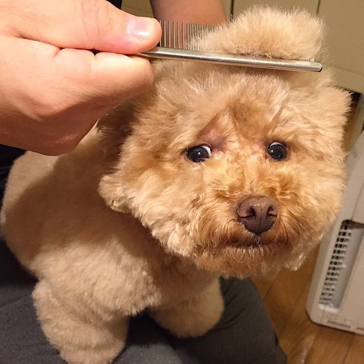 04353296 d299 4b61 982b 1ea12f803ce9