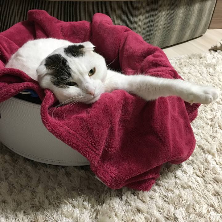 04353c99 f7ac 4cd0 a1a5 aaebd32b511a