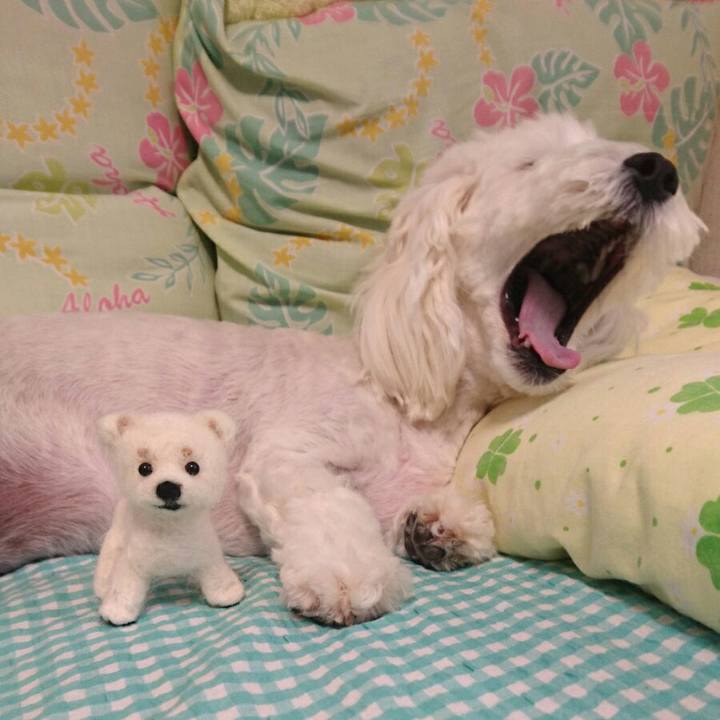 04358917 2b6a 4e80 89e4 9de607662e30