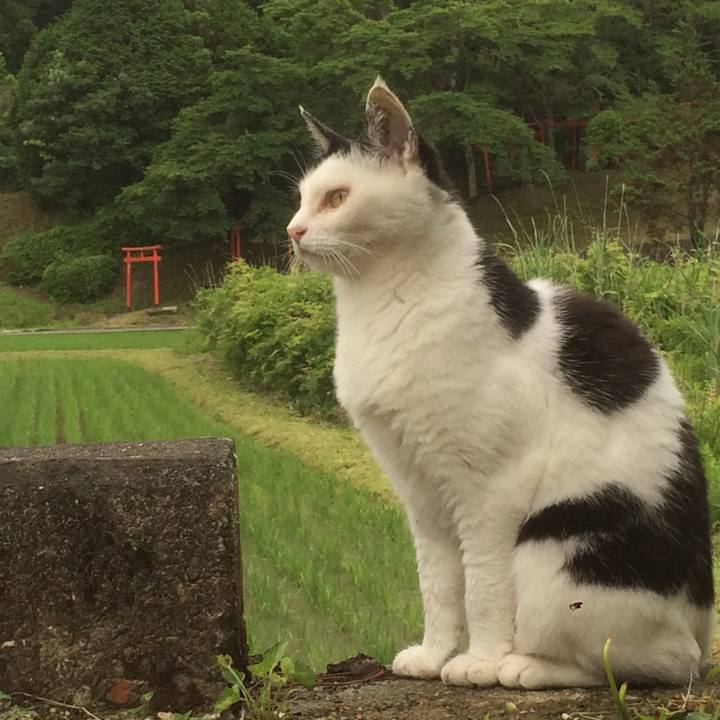 043591c2 d738 459f 9468 9aa8f0c0af08