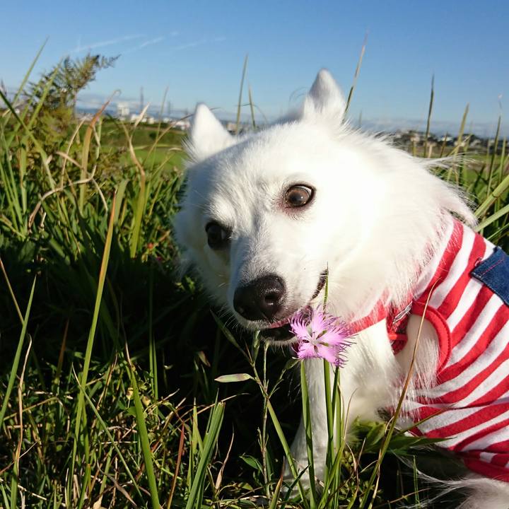 04363a89 ab12 4ccf 9595 966d0e5a9650