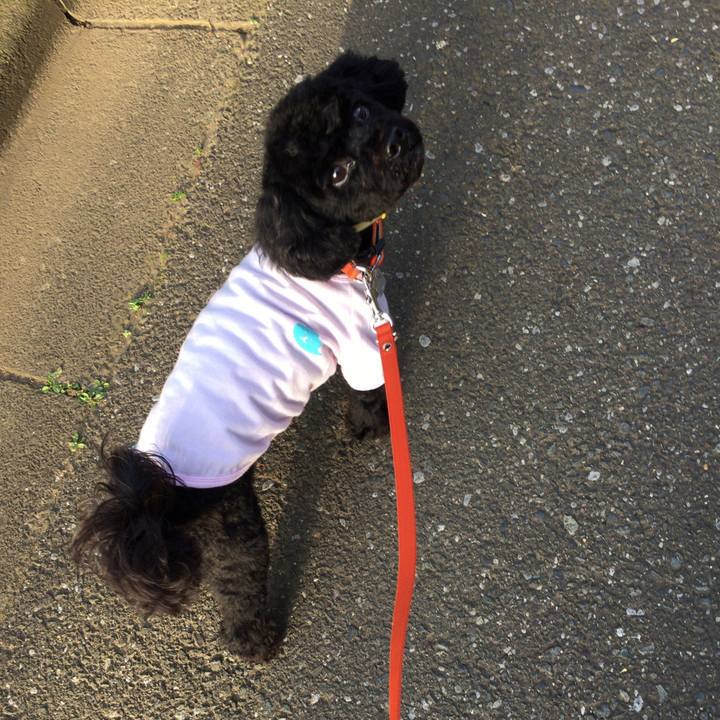 04364a7d d406 4ab4 a1f3 bf7fc5a43cec