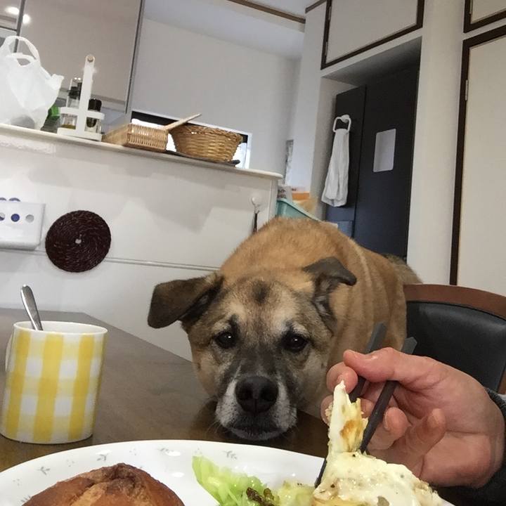 0436c80c f30f 4536 ae77 40c324bc5df3