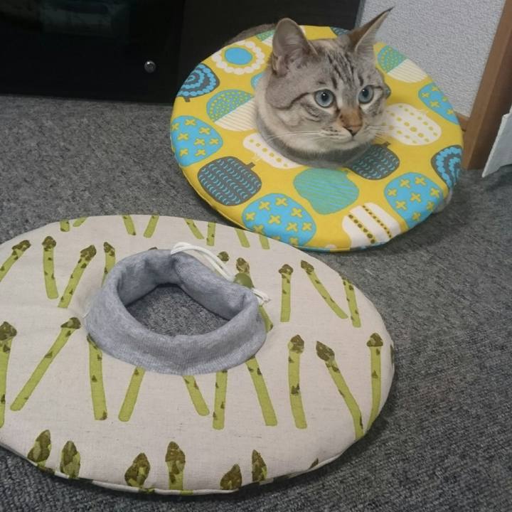 0437d2b0 ac2d 4238 a167 23c765cb1166