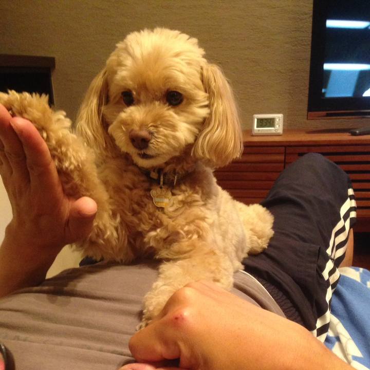 0437e576 c851 409a 9cdd dce929871e9f