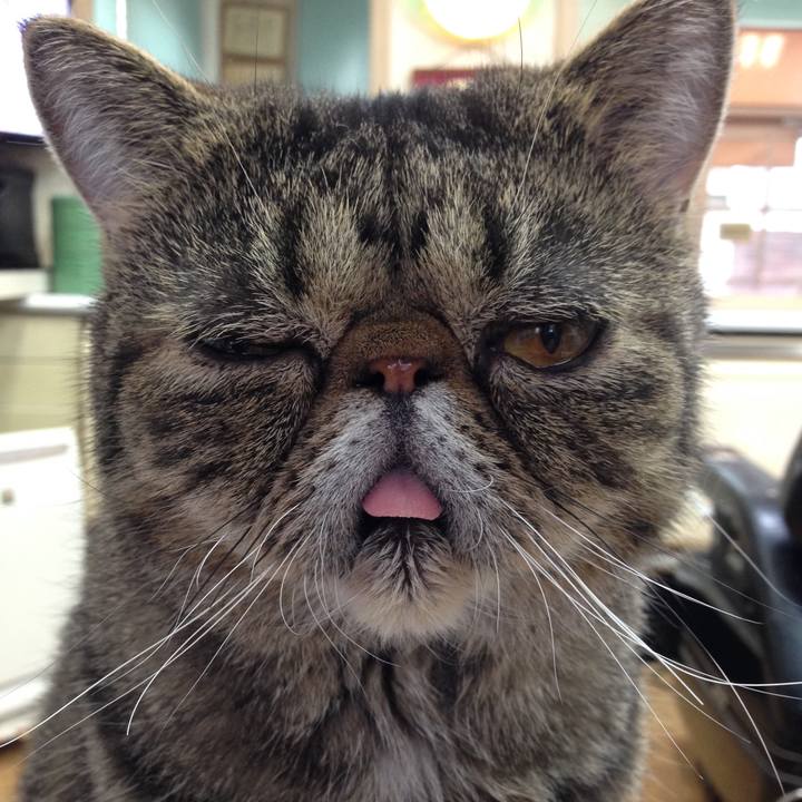 0437f034 4502 4b8f 80ad fcdc5732ad18