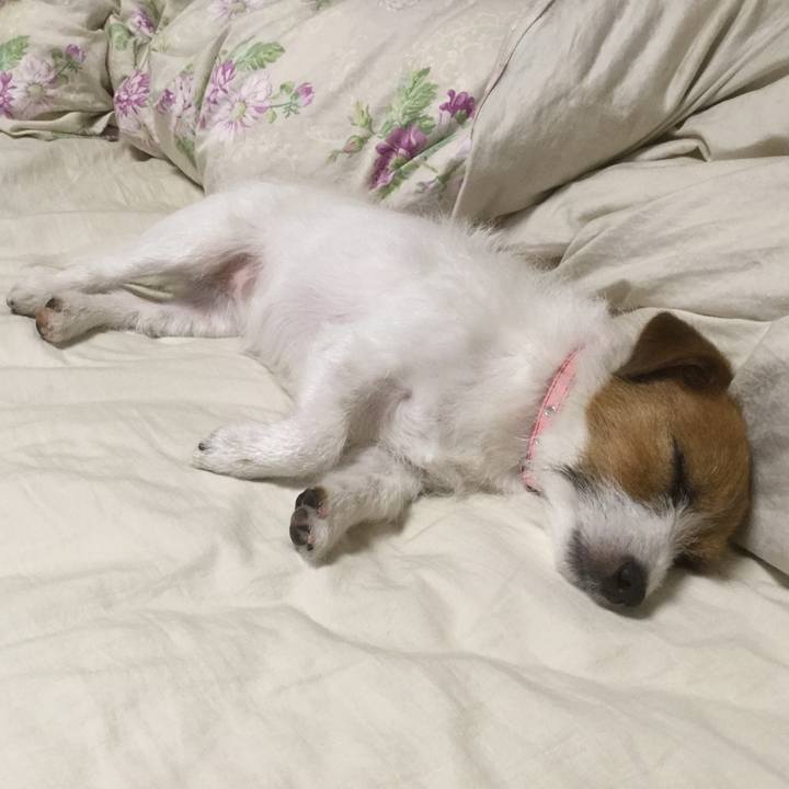 0437f2dd 9e30 487b 9690 1d8c86406bf9