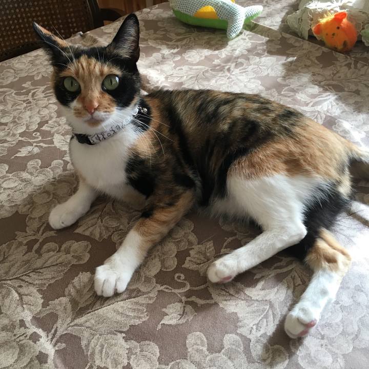 0437f486 05b1 4df8 b89f f90ec91c7359