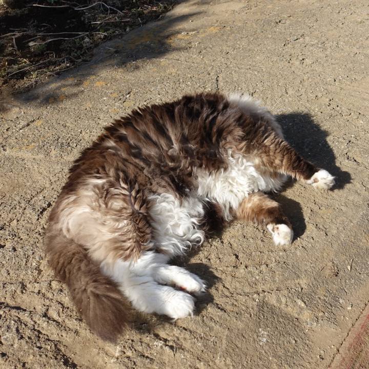 04380a5c 9e51 42dd a1f3 76abb136b646