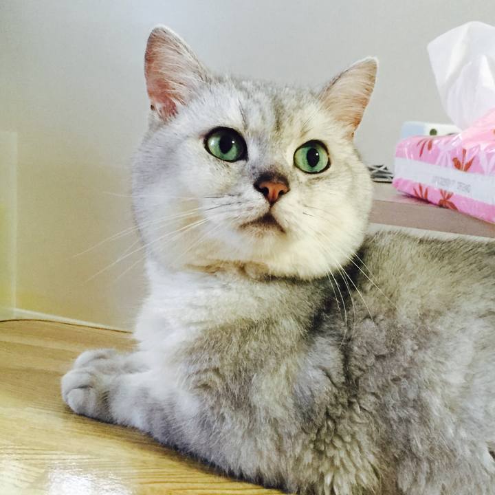 04389172 c8e6 4015 9291 2db030ddd7dc