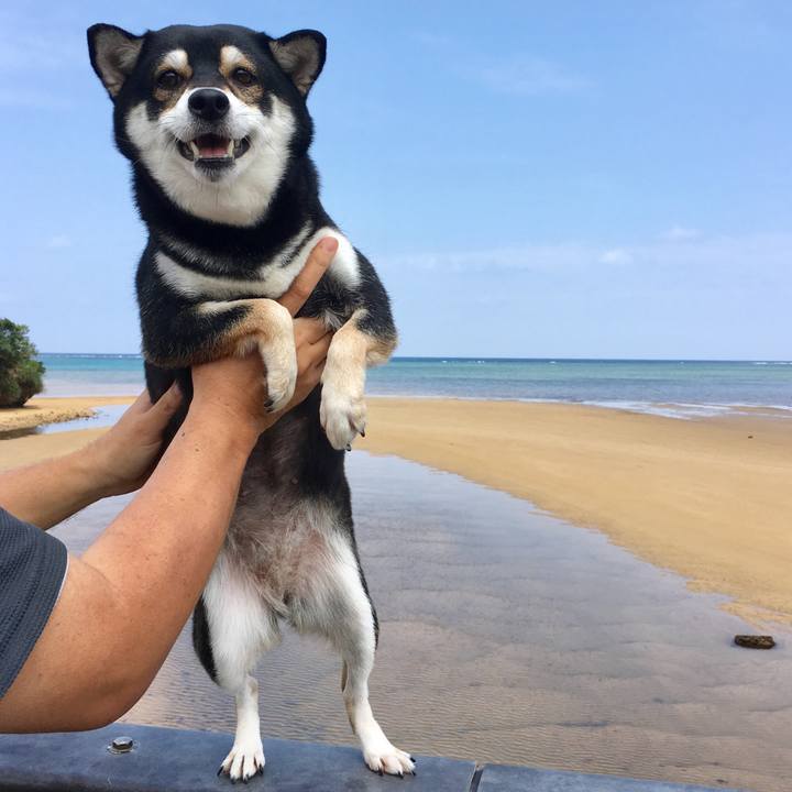 0438a619 bb2a 40f9 a4ea 82a2469088b7