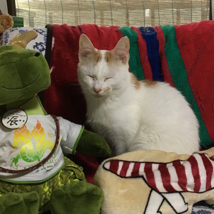 0438e4bb d090 4764 933d bbe1ec07f44e