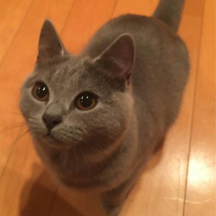 0438f9c6 e183 4473 b3bc cc594061313d