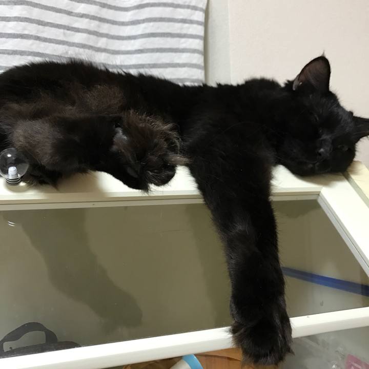 04390e45 7dd0 4aec 81f3 30b420f9b3a0