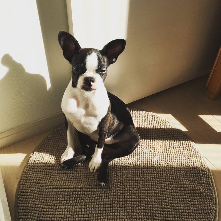 043b8258 005f 4b98 9122 e243e93fa6ae