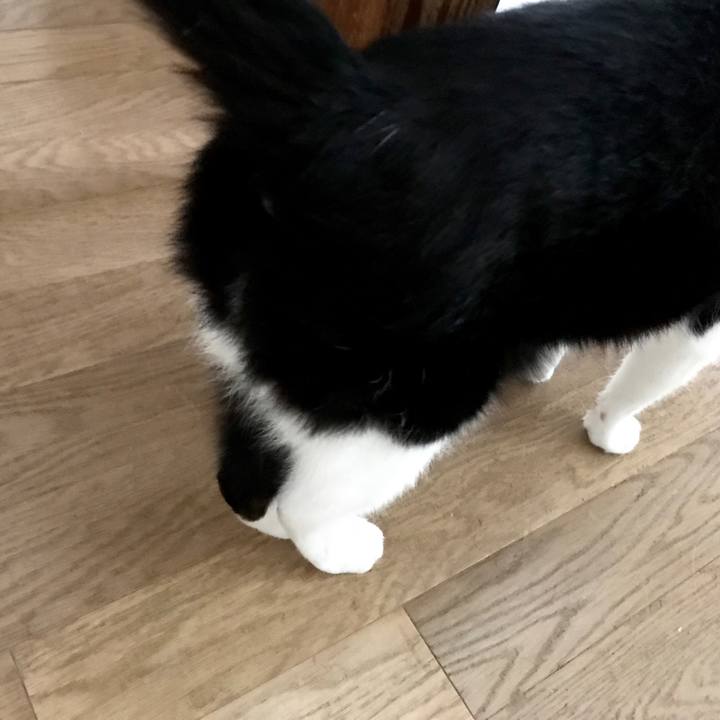 043bcb07 5c07 4c91 9839 aad407f76b66