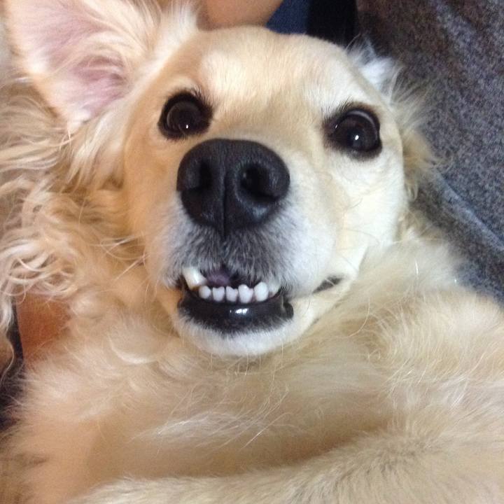 043c20c6 5557 44e1 a559 fe33ef32238c