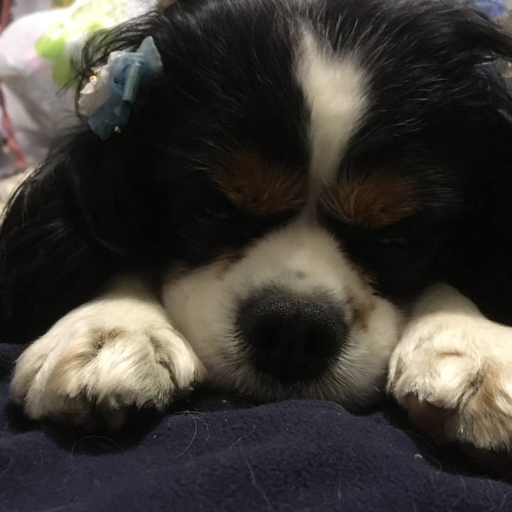 043c31ef fe48 4aec 9d8b 3ee331f6cc3f