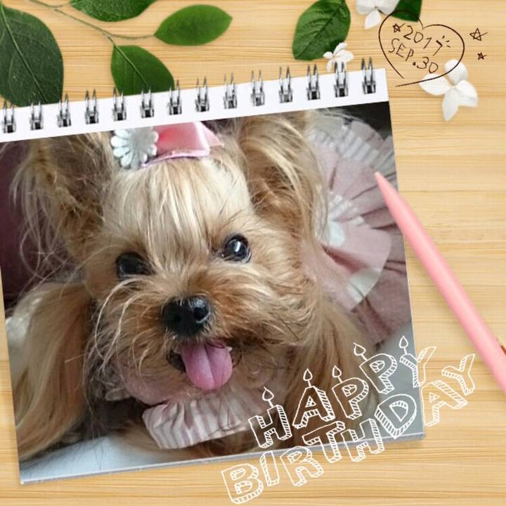 043d1dd2 8560 4634 8cc0 5bcac9be5a62