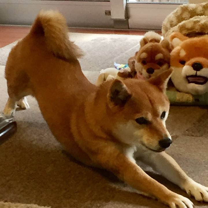 043d87e0 ae8d 4ce1 8ea8 660127165d6b