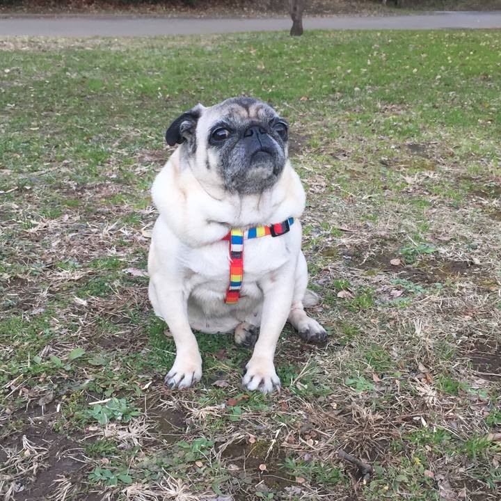 043dac93 8832 42f6 9440 7c99ab144ab8