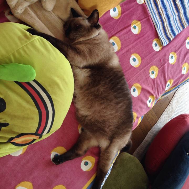 043db51c 8106 4b42 85c3 009960794d19