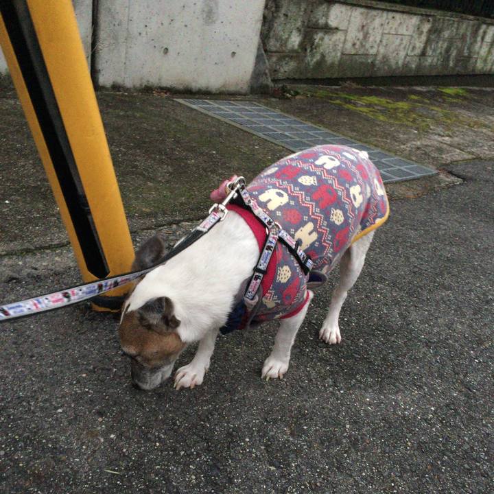 043dfa8b aa6e 43b5 88d7 9d6b7dcad607