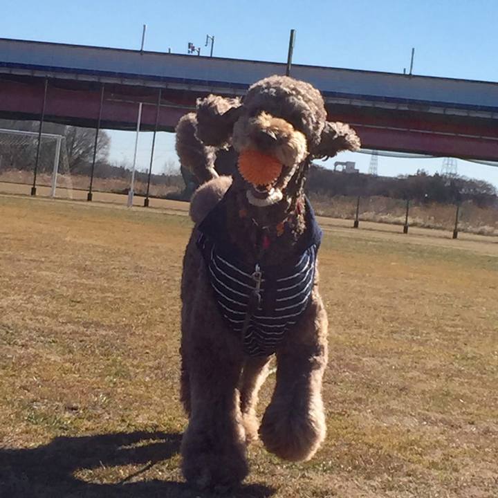 043e3965 fd6a 4028 bfc9 c28478173a91