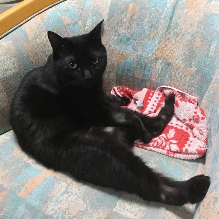 043e8f2b 18e3 4ae5 b808 8e8a1a37a3f2