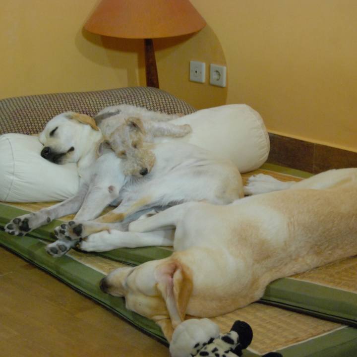 043eb616 62f8 4d05 9687 b0f47ceda54f