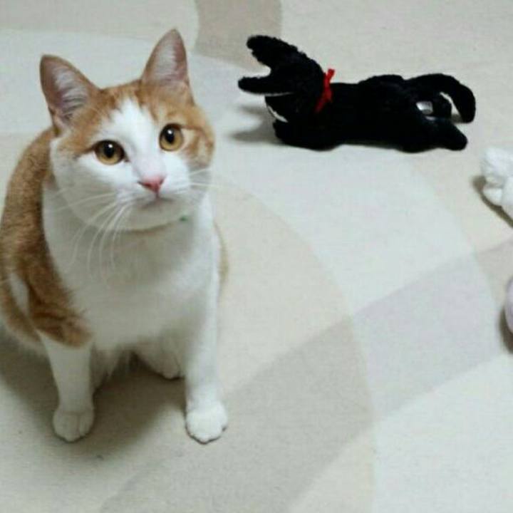 043ebcac f686 4dfa b56d 2f5a86351405