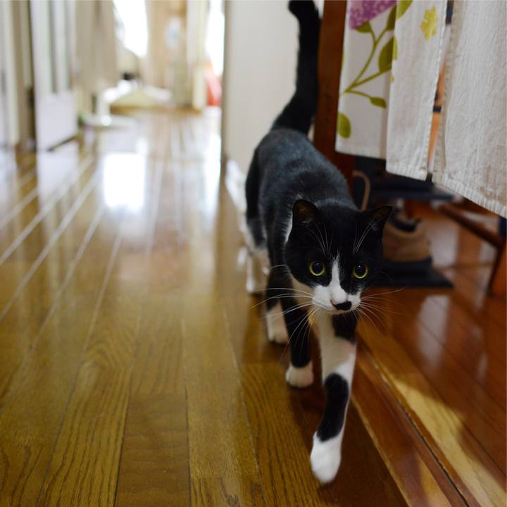 043eec82 75dd 4a58 838e bfbd64a2c1e6