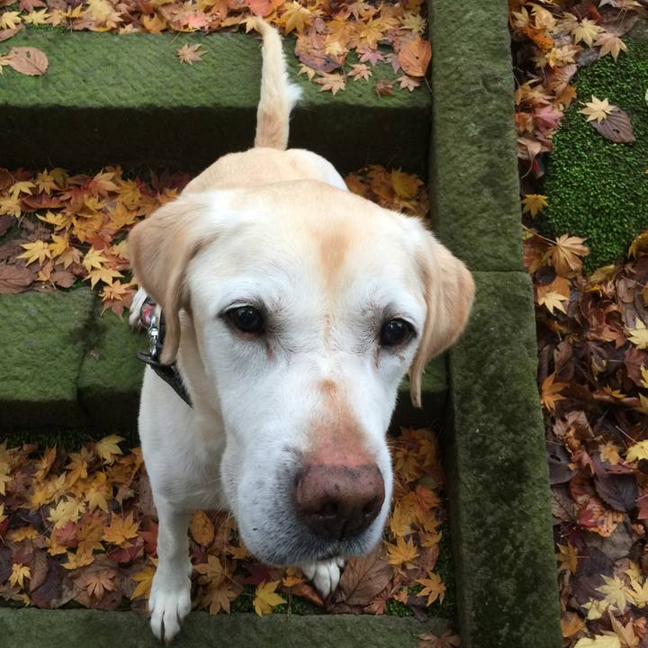 043f0e0e 5544 4eab 9c32 6622f60f78ac