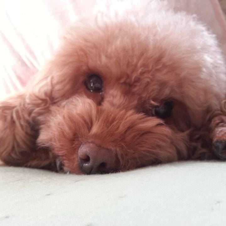 043f40c2 1940 485b a40a a6bd4a443048