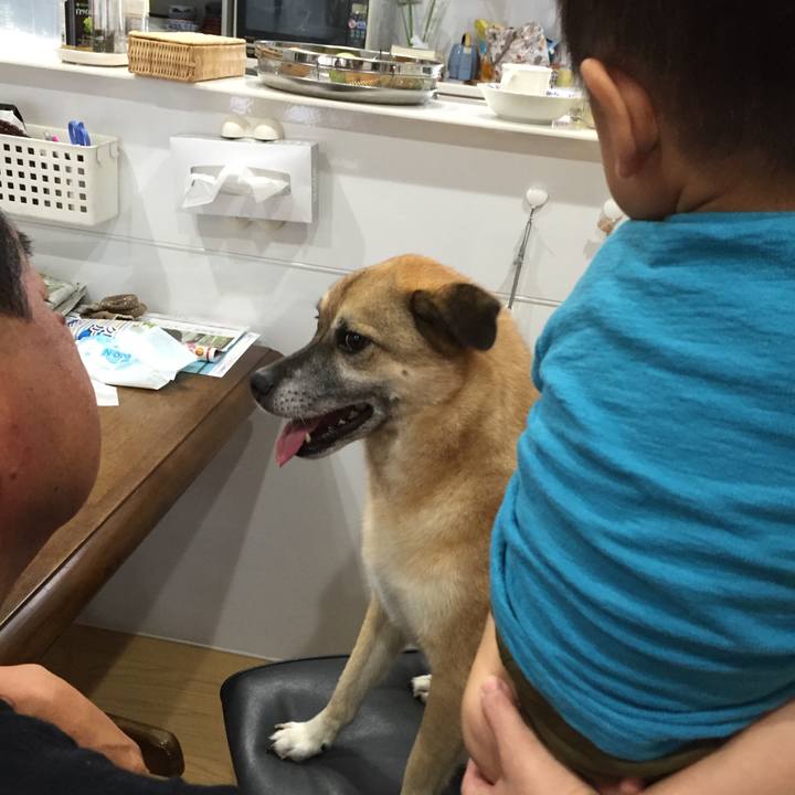 043fb6cd a440 4959 b755 eb3825ef5376