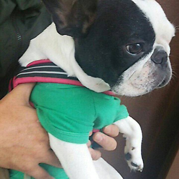 043fcaab 496b 471c 943a 75d96b73765a