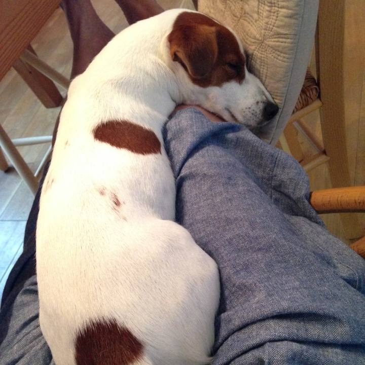 0440159a 5350 448a 93a0 cab8fd43e0de