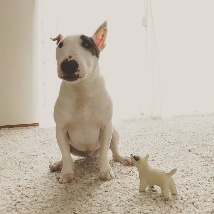 0441129d fef7 46df a22e a318977fa876