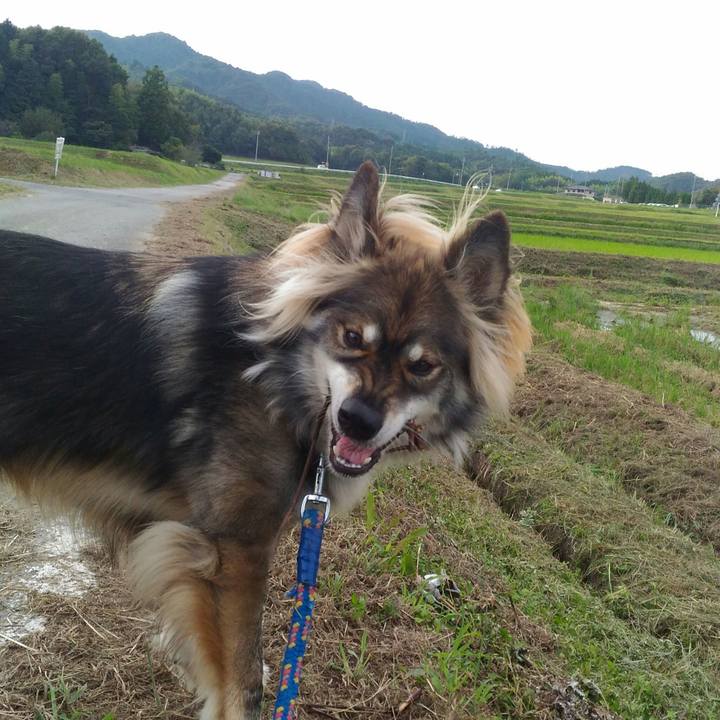 04413f90 9d8b 42d2 9d97 6f7650858082