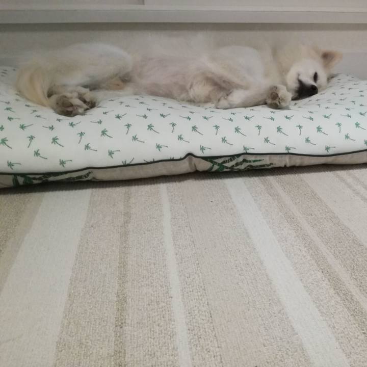 0441c55a 5d8c 4fd0 b2d2 4e2da79a60fb