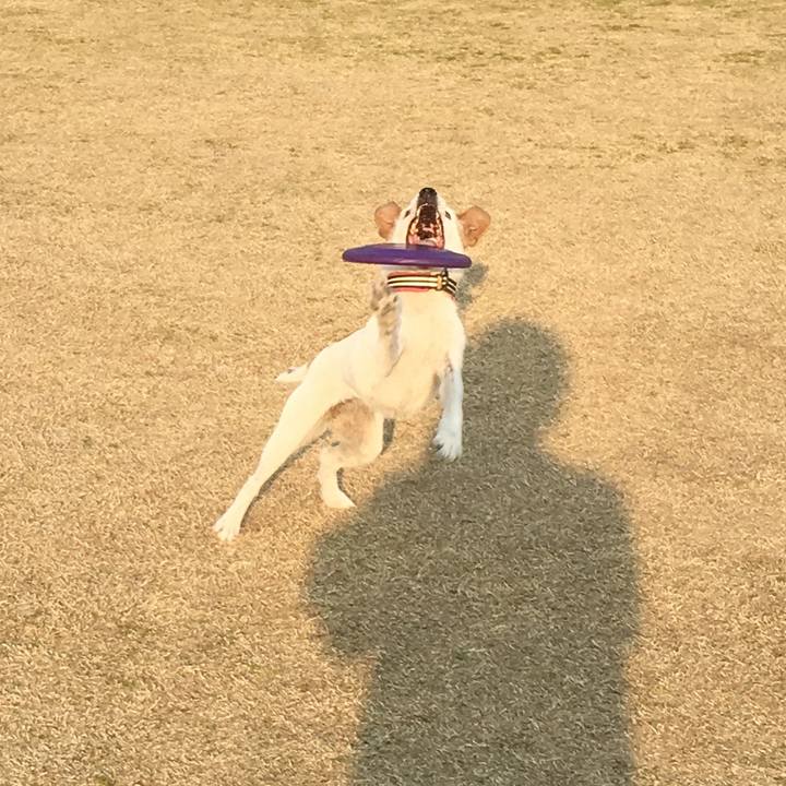 044261c3 324a 49fe 8749 1344385ec86e