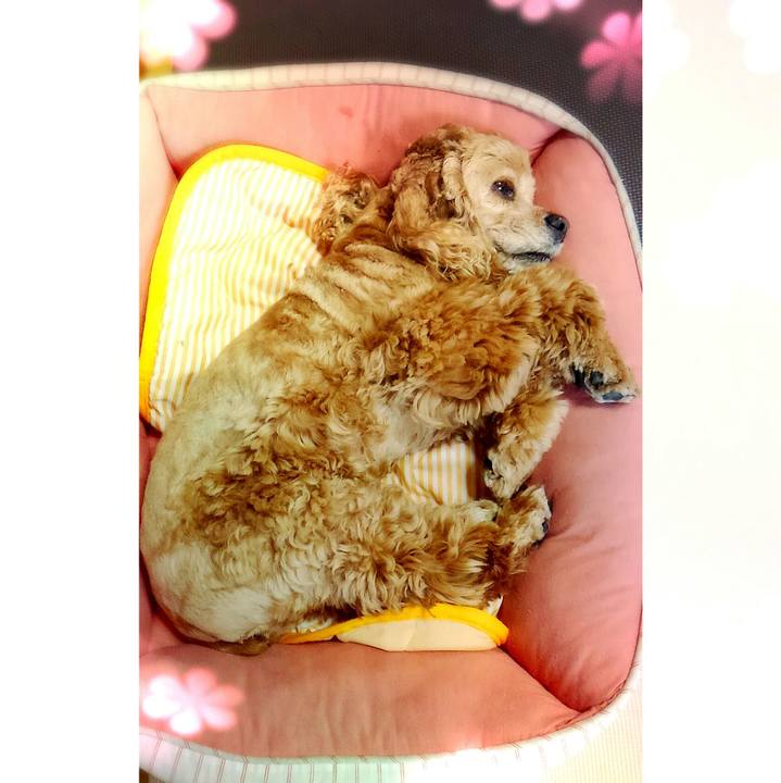 0442914a b985 4113 80ed 79c2f9bcaa5f