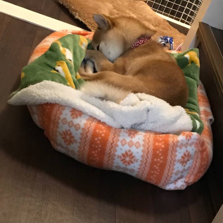 0442bdbe ef24 45dc bb71 c9d6233c0516