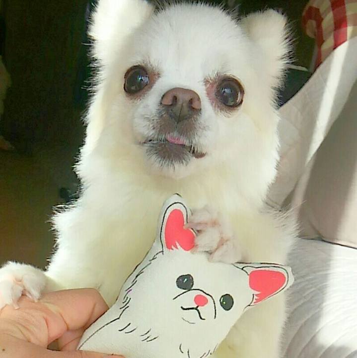 0443285a a98f 4ae7 b9cd e0df1da03f97