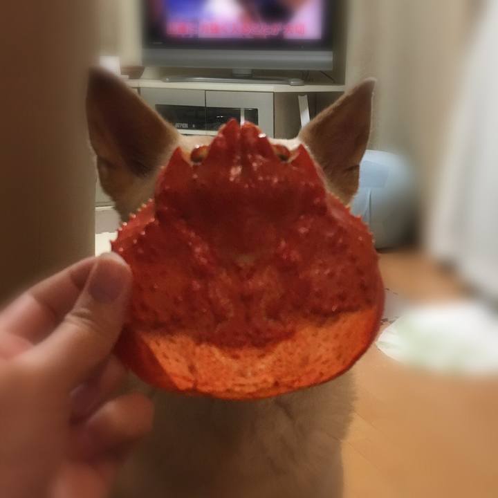 04433219 f5bd 425f 9e81 376c30afc5eb