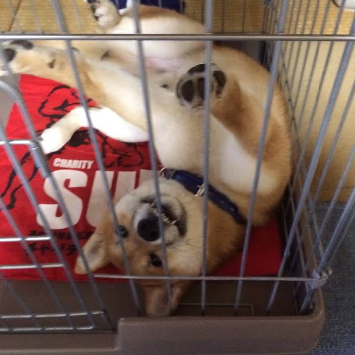 044359e0 5808 4a1c 9c90 550c6e754c96